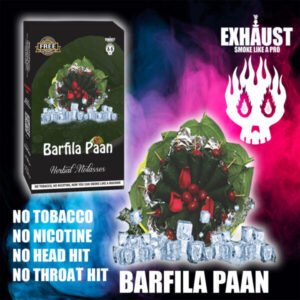 BARFILA PAAN