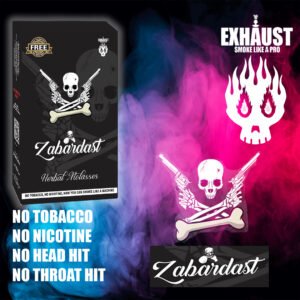 ZABRADAST (BRAIN FRIZER)